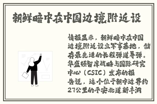 苍井空种子